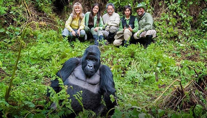 Qualifications for Gorilla Trekking: Seeing Gorillas is one of the most incredible travel encounters on the planet that you got to encounter