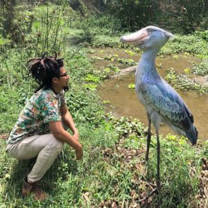 Mabamba Swamp Tour