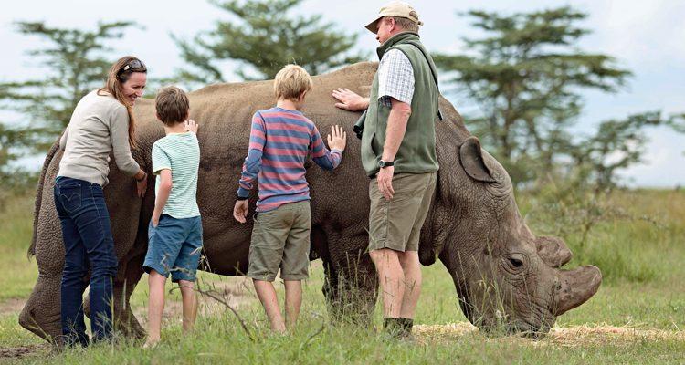 Ultimate Plan For A Fun Family Safari To Uganda: