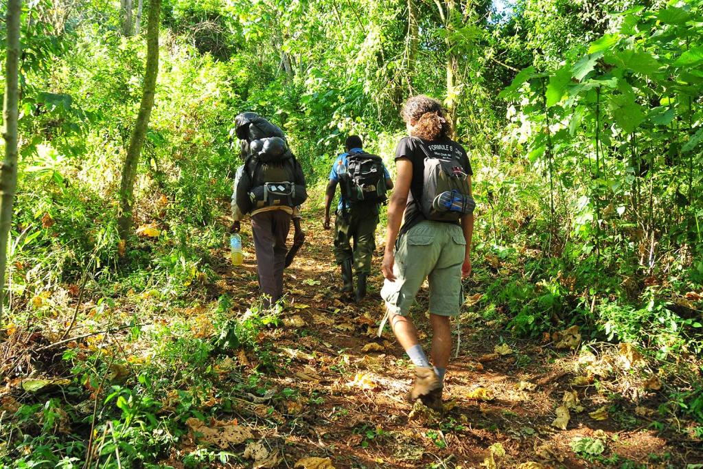 Ultimate Nature Walk in Uganda
