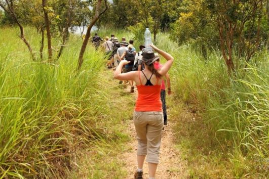 Nature Walk in Uganda