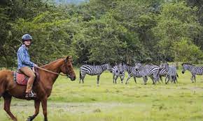 Why Lake Mburo national park is famous