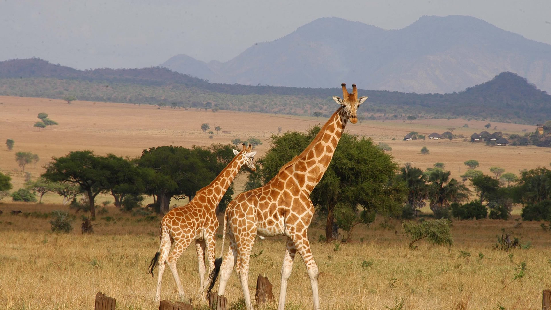 Why Kidepo national park is famous