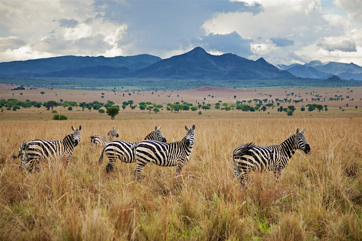 Kidepo valley national park