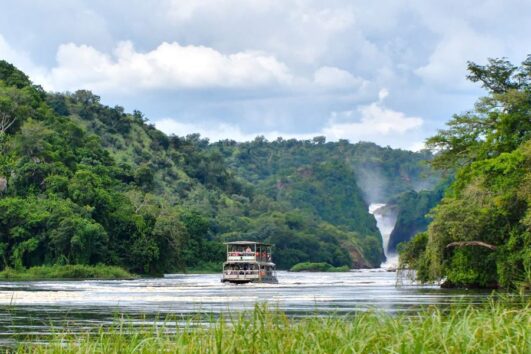 3 Days Wildlife Safari To Murchison Falls National Park