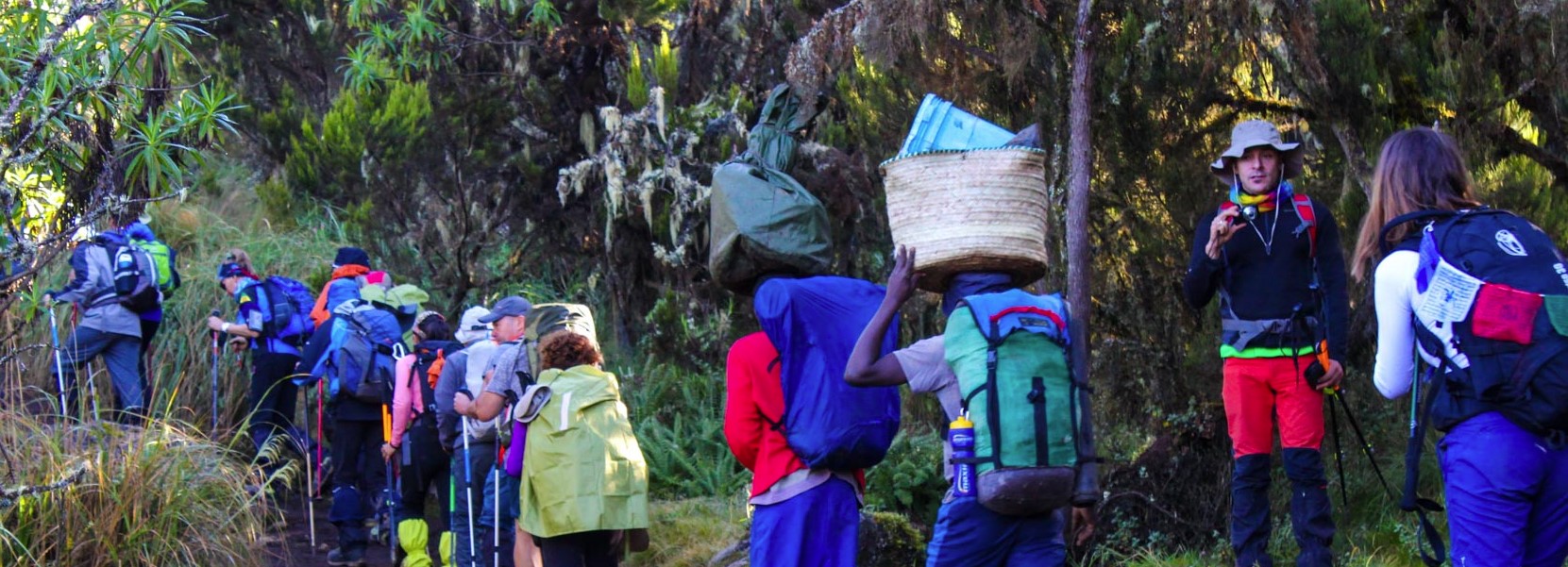 Kilimanjaro Hike Marangu Route-7 Days
