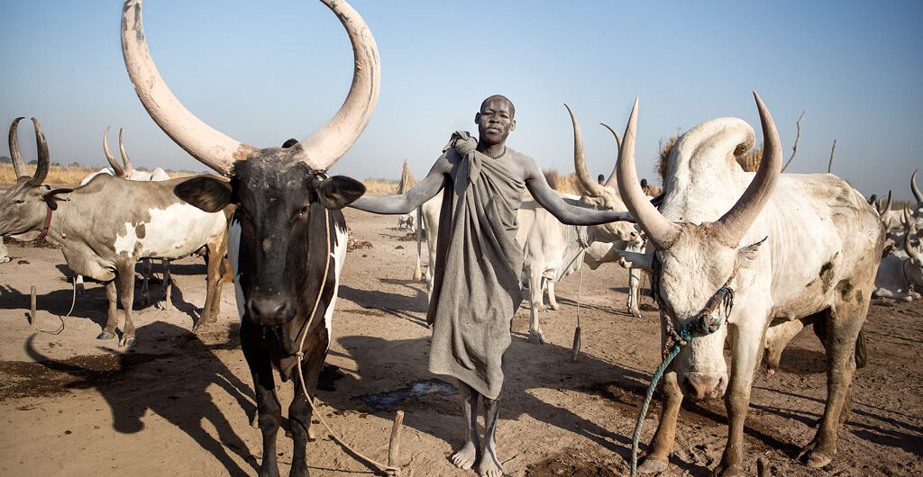 South Sudan Tours: The country is Africa's newest country and it has not yet been discovered by tourism but rich in Culture and traditions