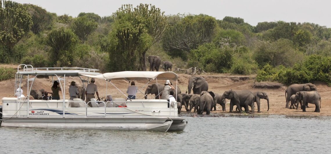 Nile Cruise in Murchison Falls Uganda: With its source found in Jinja in Uganda, the Nile is famous for being the longest river in the world