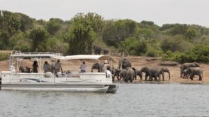 Nile Cruise in Murchison Falls Uganda: With its source found in Jinja in Uganda, the Nile is famous for being the longest river in the world