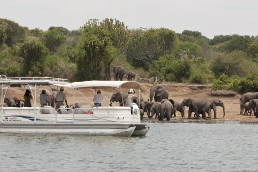 Nile Cruise in Murchison Falls Uganda: With its source found in Jinja in Uganda, the Nile is famous for being the longest river in the world