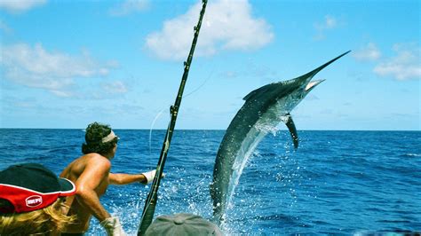 Sport fishing