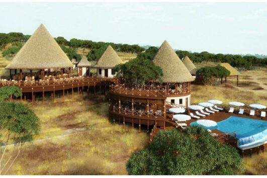 Your Private Luxury Tanzania Safari Tours: Encounter the great beastie migration, one of the natural wonders of the world on Tanzania safari