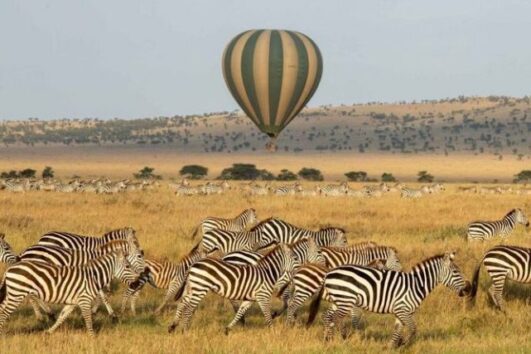 Hot Air Balloon Murchison Falls Uganda Safari: Uganda Wildlife Authority (UWA) recently introduced this tourist activity in the above park