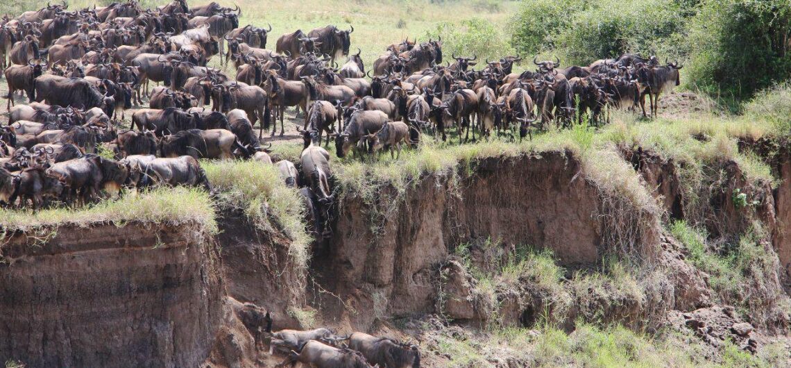 Tanzania Tours |Tanzania safaris | top Tanzania tourist attractions begins with a vision, whether it is for a Tanzania wildlife safari tour