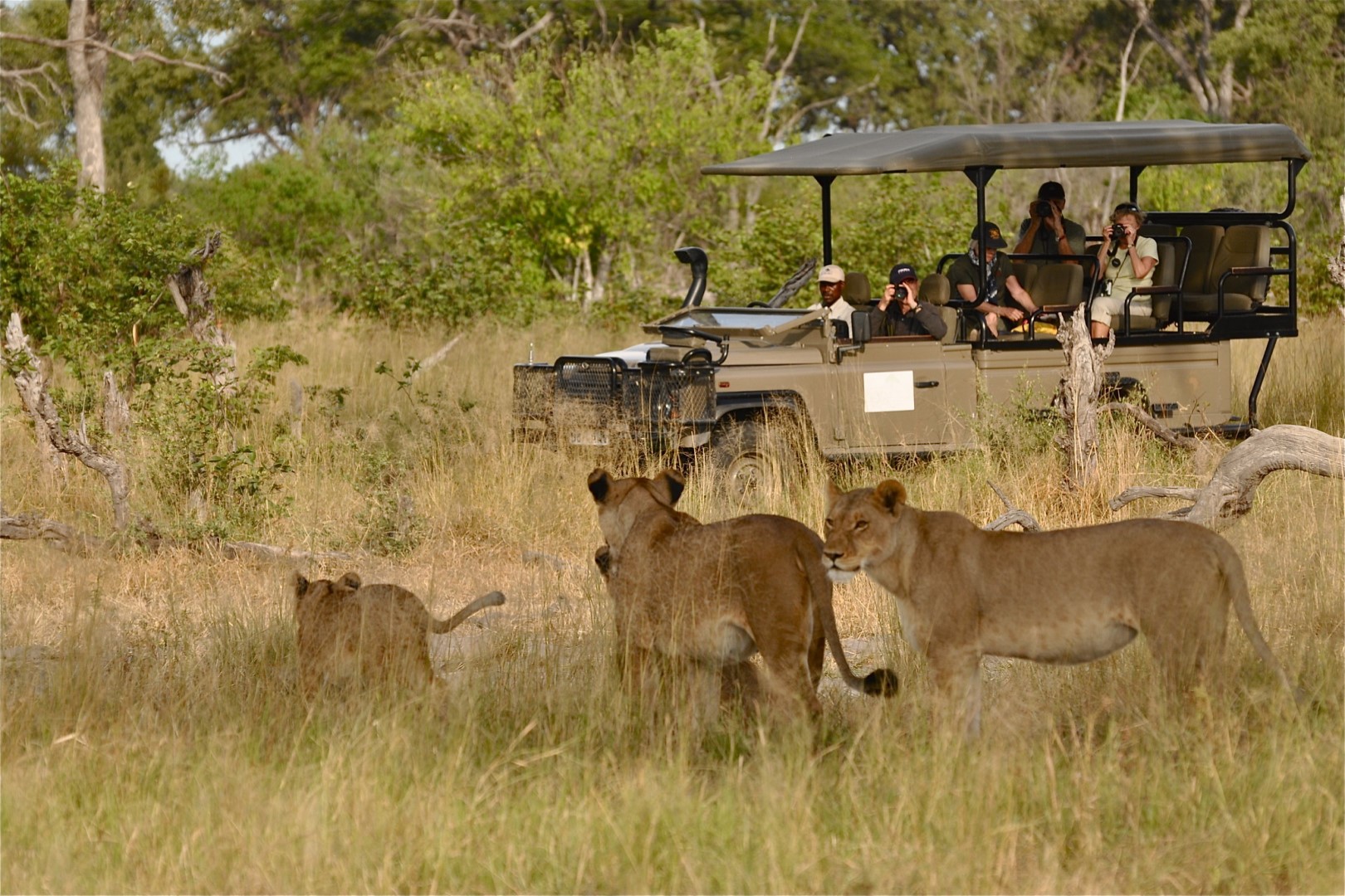Magnificent Game Drives in Murchison falls park