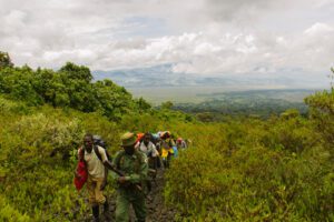 Top activities to do in Uganda a small country that spans an area of 241,038 sq km accompanied with variety of thrilling safari activities