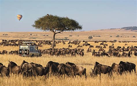 Maasai Mara National Reserve