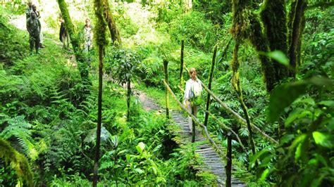 Buhoro Trail