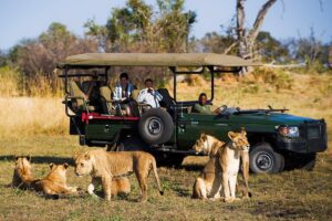 Explore murchison falls national park