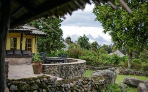 Top 10 Best Uganda Luxury Safari Lodges & Camps: The country is one of the most underappreciated safari spots popular for mountain gorillas