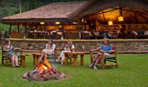 Murchison Falls National Park in Uganda: the country's largest national park, encompassing Savannah grasslands, riverine woods