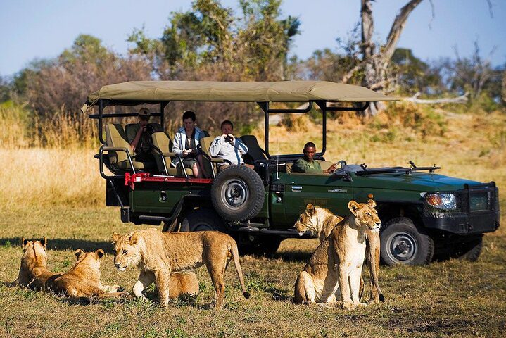 Uganda Wild Animals the country is a popular travel destination to those who want to experience the continent's untamed jungle and culture