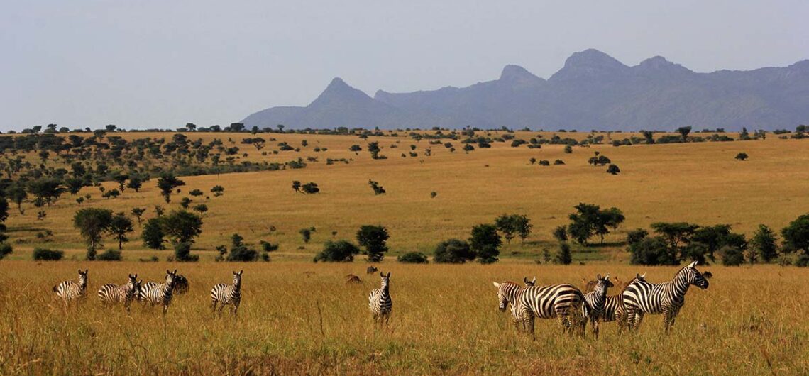 Adventures in Lake Mburo National Park located in the western region of Uganda designated as a UNESCO World Heritage Site.