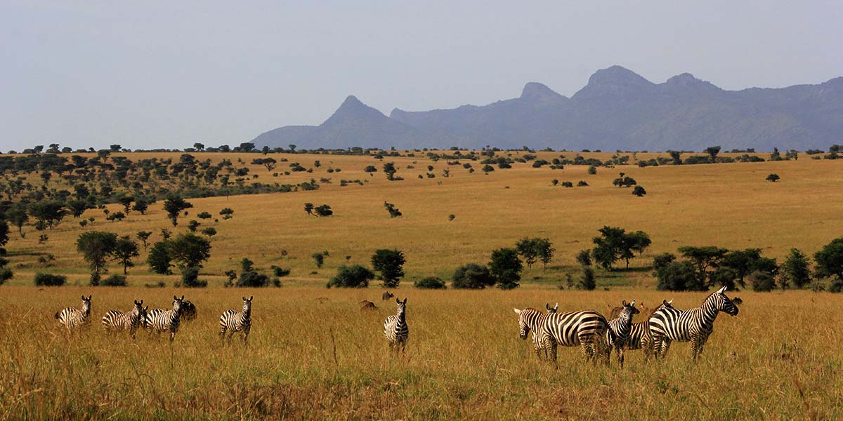 Adventures in Lake Mburo National Park located in the western region of Uganda designated as a UNESCO World Heritage Site.