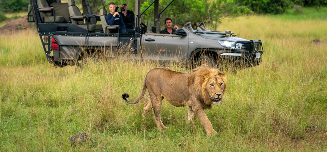 All you need to know about Akagera national park in Rwanda: Along the border with Tanzania, in Eastern Rwanda, is Akagera established in 1934