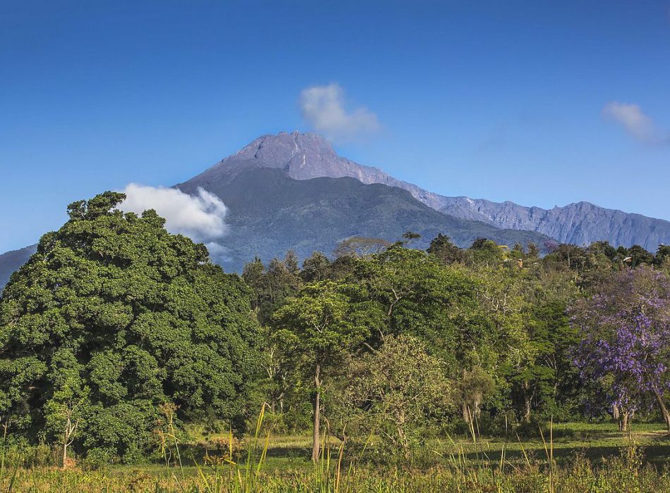 Tourist Attractions in Tanzania: Each of Tanzania's parks has a unique charm that makes it a strong contender for a top travel destination