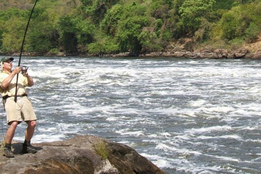 Fishing Safaris: Lake Victoria provides the chance to catch the Nile Perch, one of the largest freshwater fish in the world