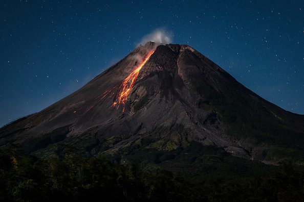 Congo Safaris: DRC is immense and supports an astounding variety of wildlife and a home to the second-largest rainforest on the planet