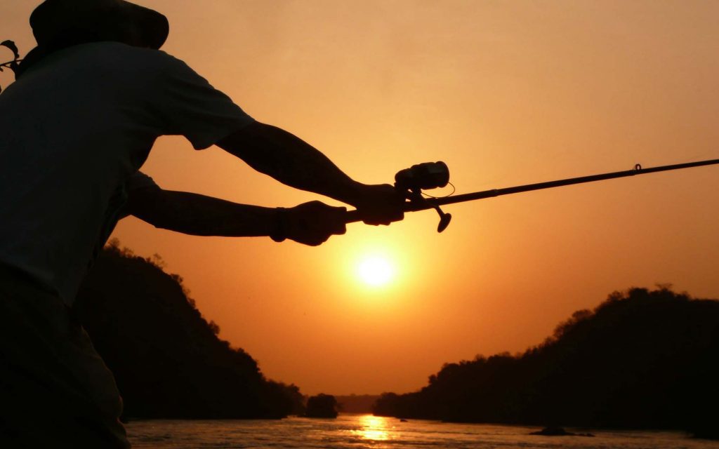 Fishing Safaris: Lake Victoria provides the chance to catch the Nile Perch, one of the largest freshwater fish in the world