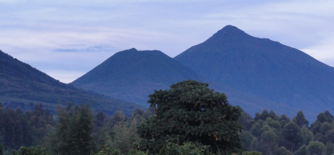 Le Parc National des Volcans est situé dans la province du Nord du Rwanda, c'est une attraction touristique populaire au Rwanda.