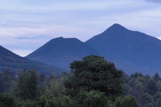 Le Parc National des Volcans est situé dans la province du Nord du Rwanda, c'est une attraction touristique populaire au Rwanda.
