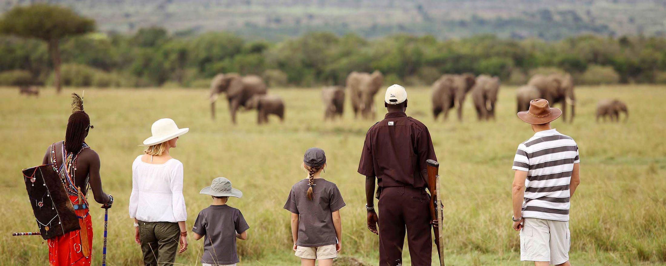 Plan a Safari with Children: African safaris are frequently life-changing events for kids, leaving them with happy memories that they cherish