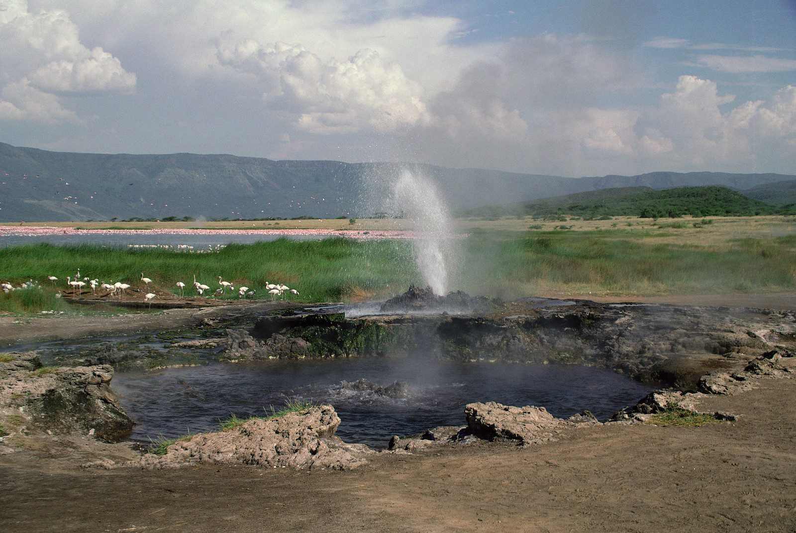 Lake Manyara National Park is a stunning wildlife reserve known for its diverse ecosystems and abundant wildlife in Tanzania