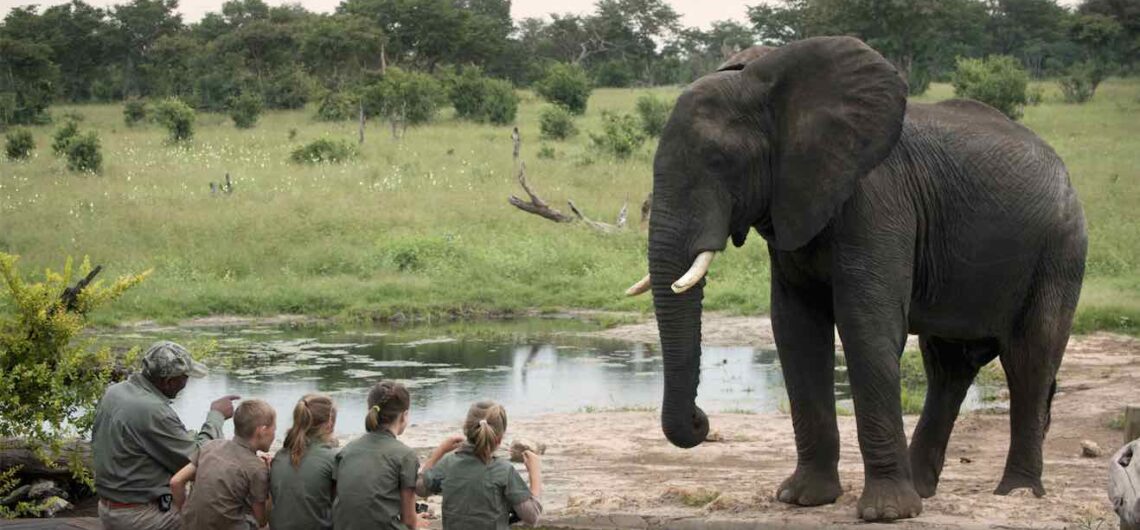 Wie man einen Safari mit Kindern für das beste Urlaubserlebnis plant: Afrikanische Safaris sind für Kinder oft lebensverändernde Ereignisse