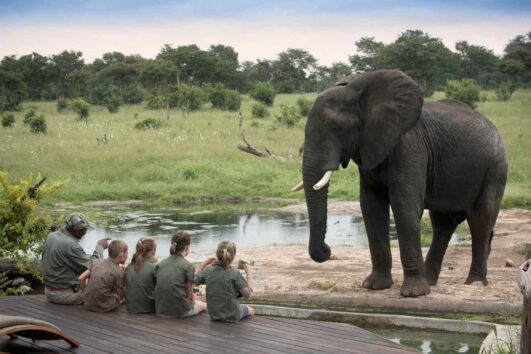 Wie man einen Safari mit Kindern für das beste Urlaubserlebnis plant: Afrikanische Safaris sind für Kinder oft lebensverändernde Ereignisse