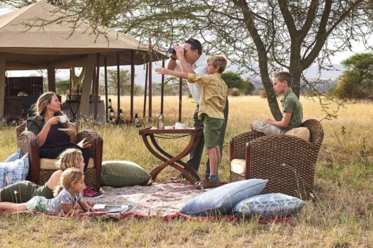 Plan a Safari with Children: African safaris are frequently life-changing events for kids, leaving them with happy memories that they typically cherish for the rest of their lives