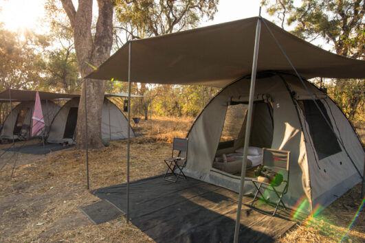 Exciting Camping Safaris in Uganda: Uganda Camping Safaris let travelers stay overnight in the wild areas of national parks among the animals.