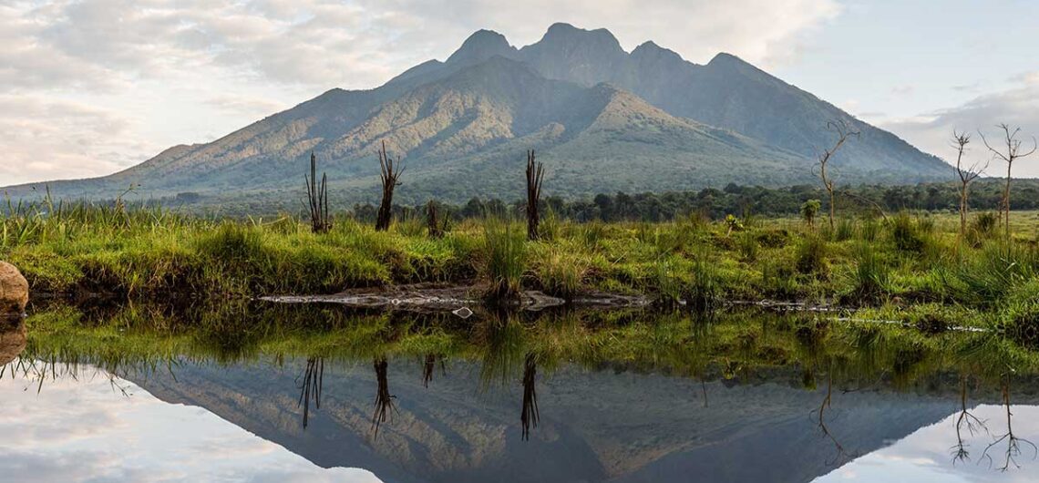 Best time to Visit Volcanoes National Park: accessing this magnificent park is possible year-round, regardless of whether it is rainy or wet