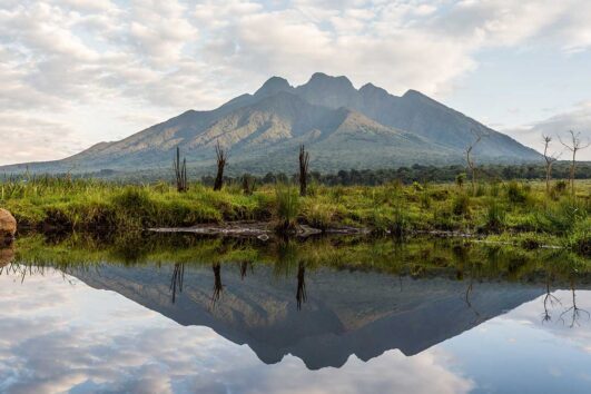 Best time to Visit Volcanoes National Park: accessing this magnificent park is possible year-round, regardless of whether it is rainy or wet