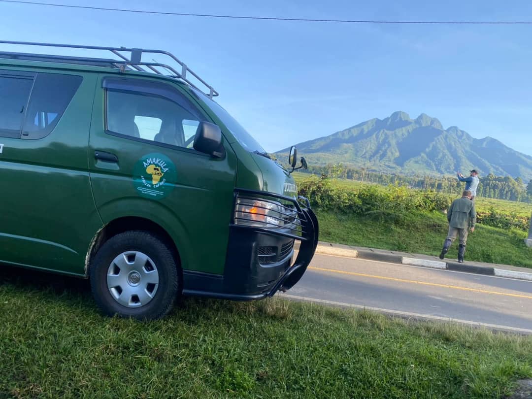 Volcanoes national park -Rwanda