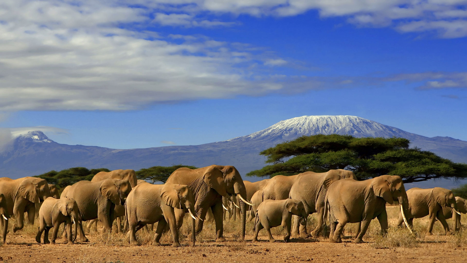 Top Ten Tourist Attractions in East Africa the great lakes region has amazing nature and old things that bring visitors from everywhere