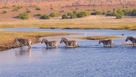 Boma National Park