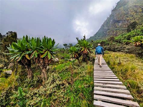 Kilembe Trail