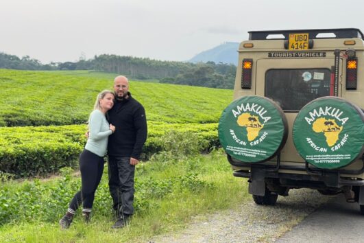 Safari Landcruiser - Amakula African Safaris