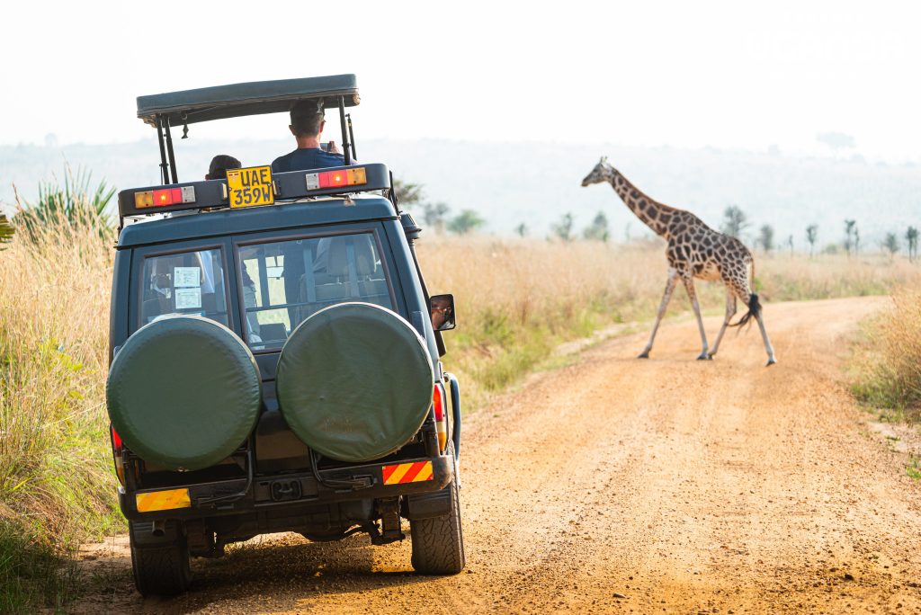 Game drive at Kidepo