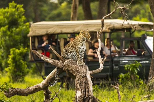 Masai Mara